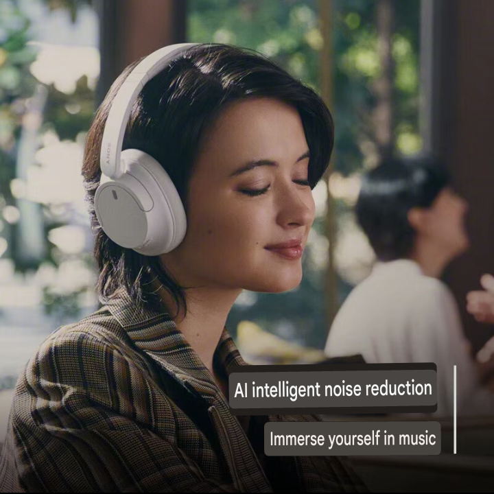 Sony Noise Ignore Headphone