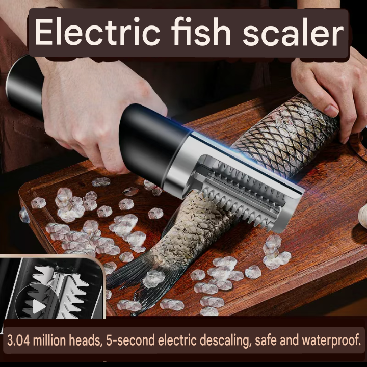 Electric Fish Descaler